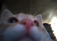 480x352