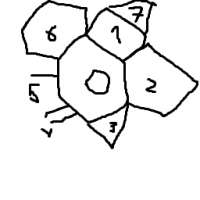 6