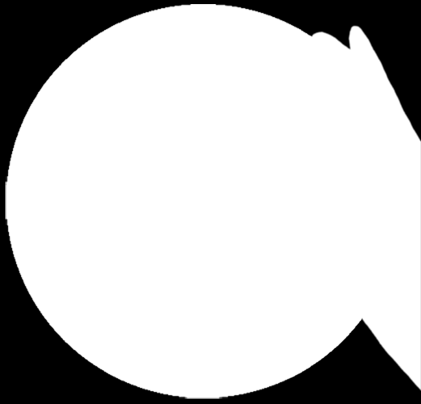421x404