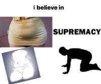 490x408