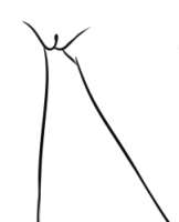 202x248
