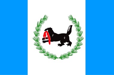 379x249