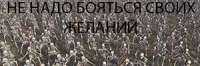 300x100