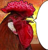 138