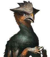 320x360
