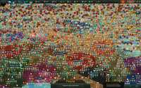 1440x900