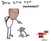 400x325