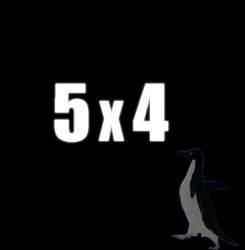 485x493