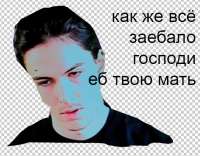 570x446