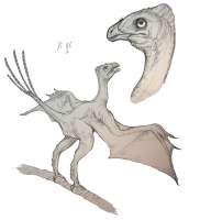 184
