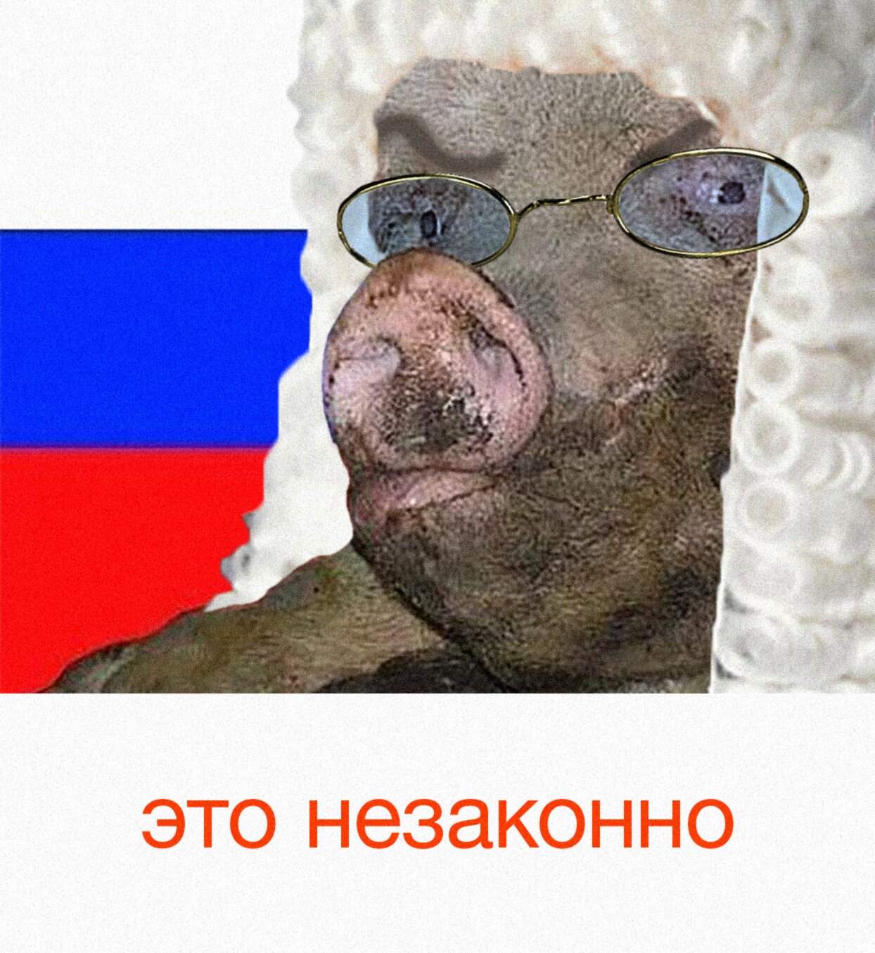1244x1355