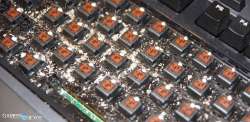 1000x488