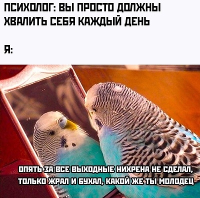 400x396