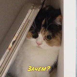 320x320