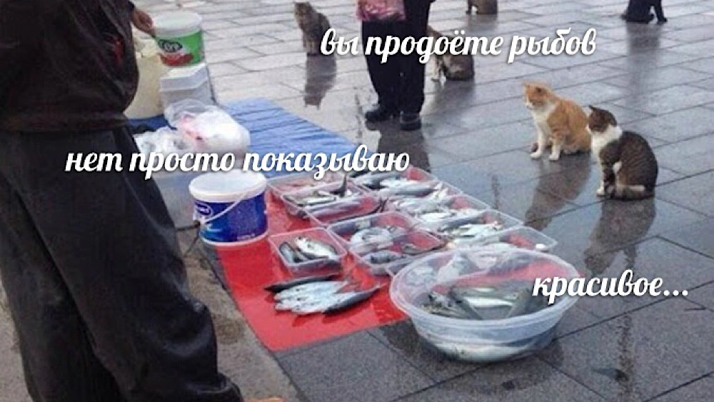 1000x563