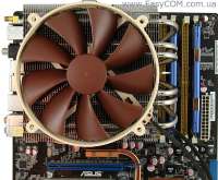 600x495