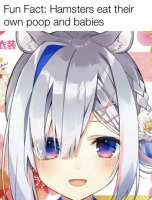 600x786