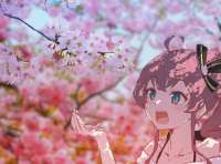 2048x1516
