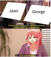 442x495