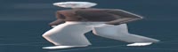 1200x357