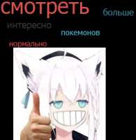 256x262