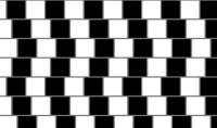 449x266