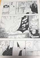 766x1080