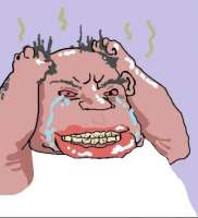 393x431