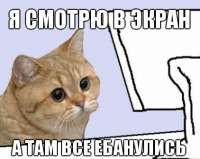 422x337