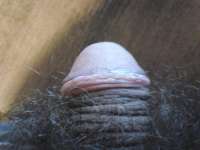 213