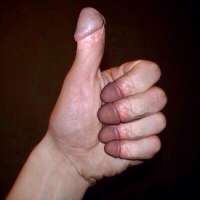 41