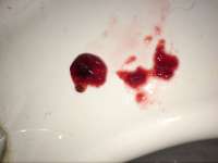 880
