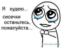 500x382
