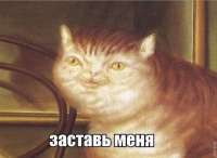 460x338