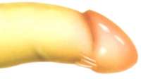 452x254