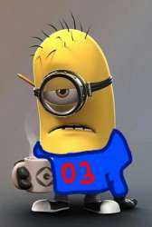 523x774