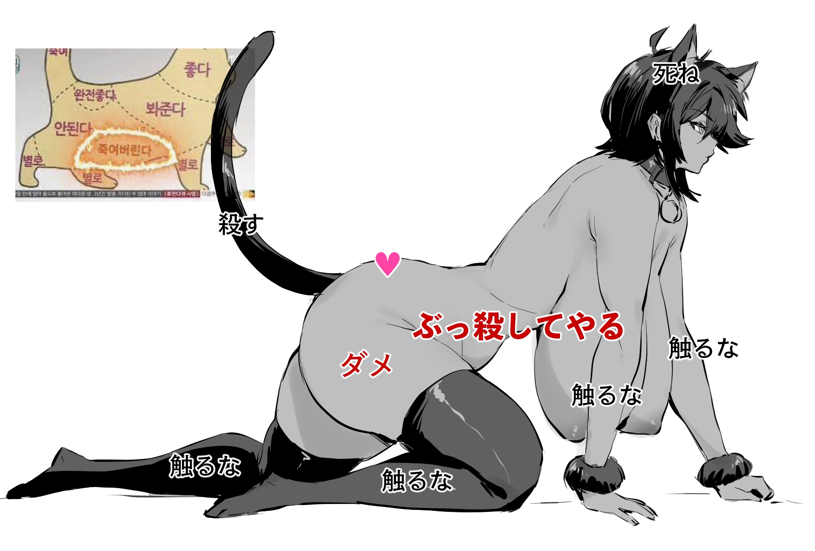 1646x1114