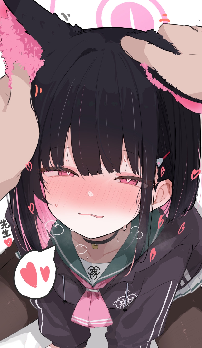 850x1462