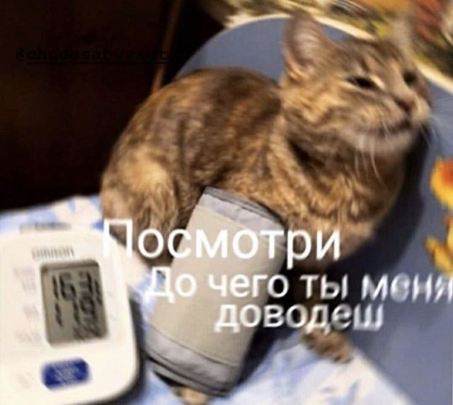 640x573