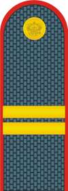 100x279