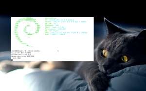 1280x800