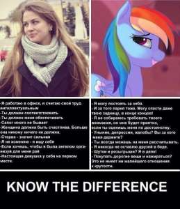 522x604