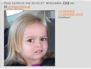 483x370