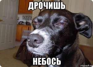 540x394