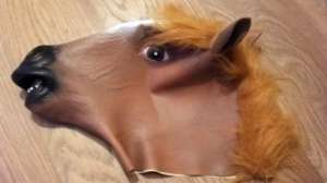 500x281