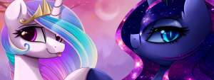 1600x603