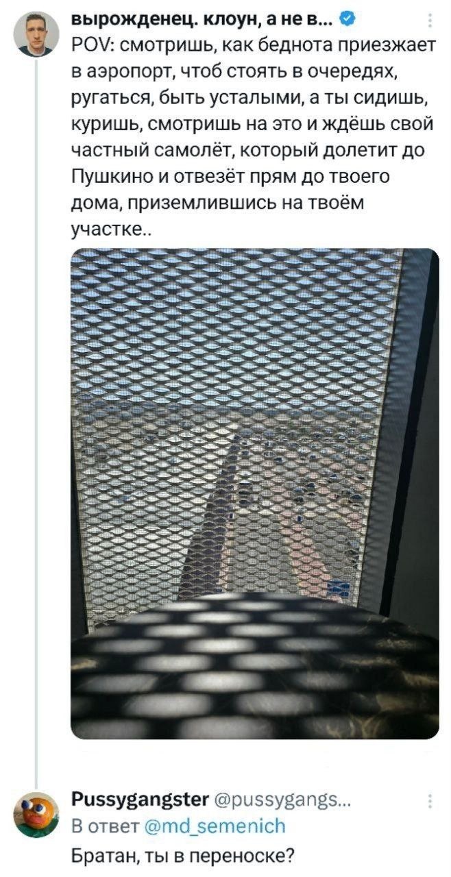 658x1280