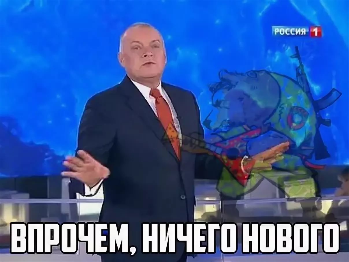 1208x906