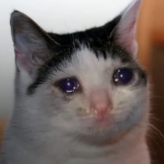 320x320