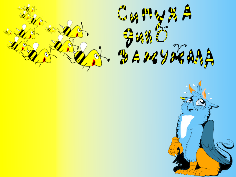 800x600